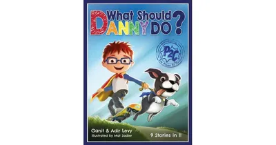 What Should Danny Do? by Adir Levy