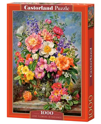 Castorland June Flowers in Radiance Jigsaw Puzzle Set, 1000 Piece