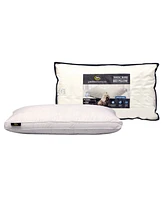 Serta Luxury European Down Soft Pillow