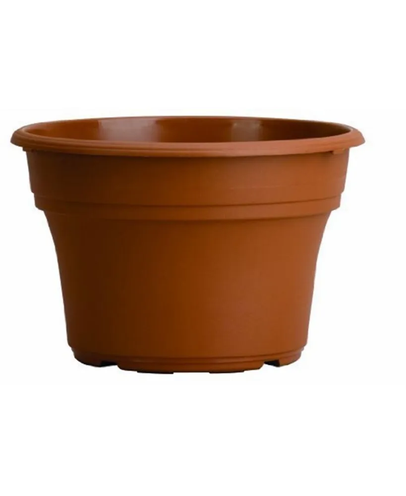 Panterra 6 Inch Pot, Clay Color