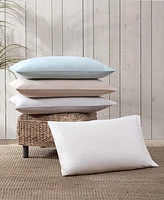 Closeout! Tommy Bahama Home Solid 1000-Thread Count Cotton Blend Sateen 6 Piece Sheet Set