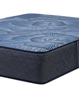 Serta Perfect Sleeper Euphoric Nights 14" Firm Hybrid Mattress Set, Queen Split