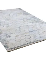 Bb Rugs Hudson Hud306 Area Rug