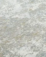 Livabliss Brunswick Bwk-2322 2' x 3' Area Rug