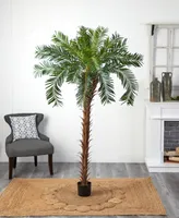 Nearly Natural 7' Cycas Palm Artificial Tree