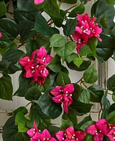 Nearly Natural 37" Bougainvillea Hanging Artificial Plant, Set of 2