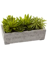 Nearly Natural Artificial Succulent Garden with Concrete Planter