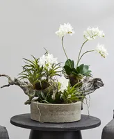 Nearly Natural Orchid and Succulent Garden w/ Driftwood and Decorative Vase