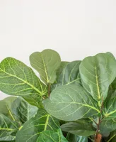 Nearly Natural 5' Fiddle Leaf Fig Artificial Tree