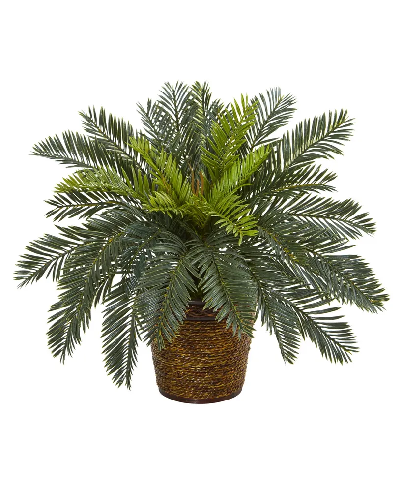 Nearly Natural 15" Cycas Artificial Plant in Basket