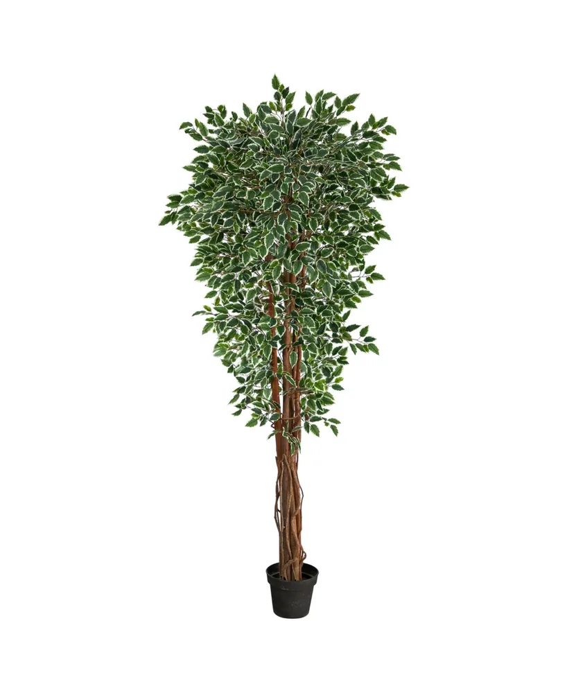 6' Ficus Artificial Topiary Tree; UV Resistant (Indoor/Outdoor), Color:  Green - JCPenney