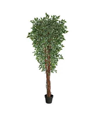 70" Variegated Ficus Artificial Tree Uv Resistant Indoor/Outdoor