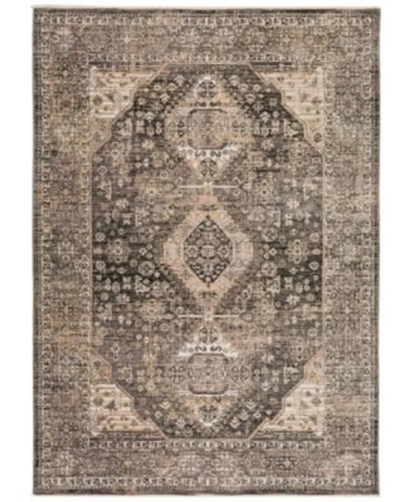 D Style Sergey Sgy2 Area Rug