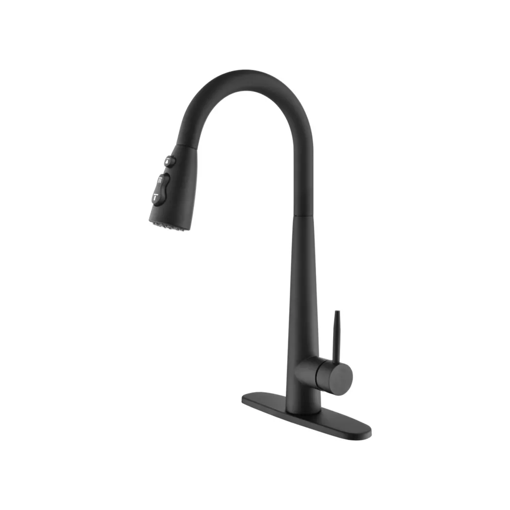 Simplie Fun Kitchen Faucets With Pull Down Sprayer, Kitchen Sink Faucet With Pull Out Sprayer