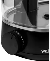 Waterpik Ion Water Flosser