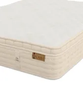 King Koil Natural Alcott Ultra Firm 12.5" HyBrid Mattress