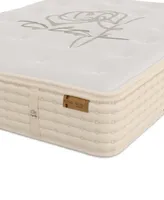 King Koil Natural Orchid Plush 14.5" HyBrid Mattress