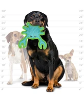 DuraForce Crab Tiger Blue-Green, 2-Pack, Durable Plush Squeaky Dog Toys