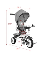 Baby Stroller Tricycle Detachable Learning Toy Bike