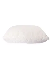 Sleep & Beyond Natural Latex and Wool Pillow, Queen - Off
