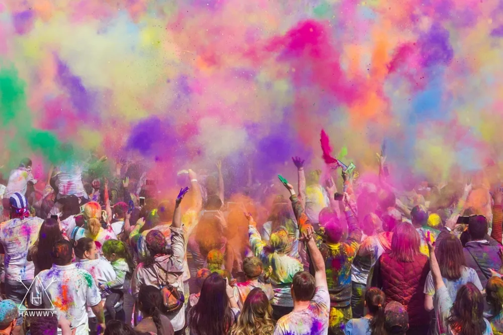 Hawwwy Colorful Powder for Holi Festival, Burnout Girl/Boy Gender Reveal  Powder Announcement tannerite