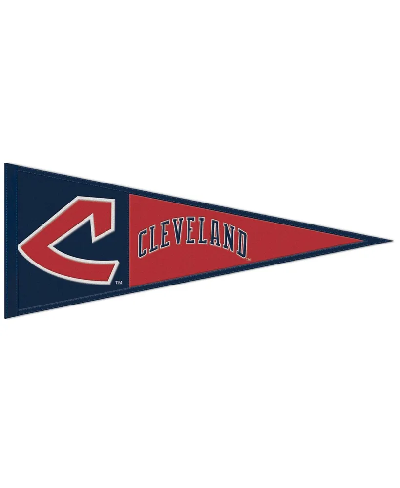 WinCraft Cleveland Browns 13 x 32 Slogan Pennant