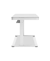 Lynxtyn Adjustable Height Desk