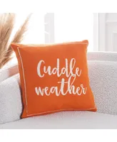 Safavieh Cuddle Weather Pillow