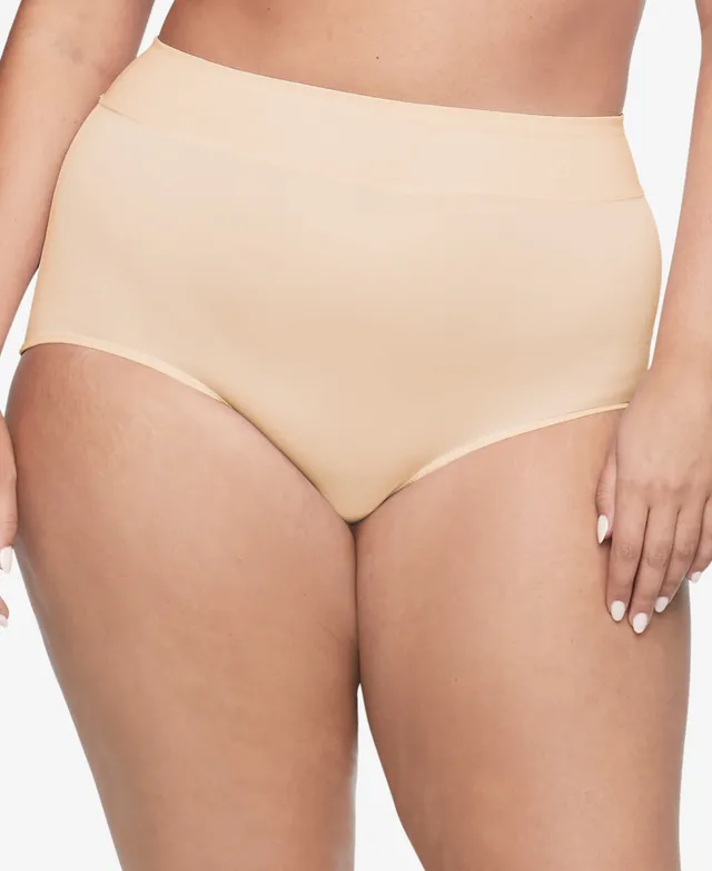 Warner's Women's 3-Pk. No Pinching Problems Mesh Microfiber Brief Underwear  RS4963WP