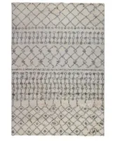 Amer Rugs Asp1 Area Rug