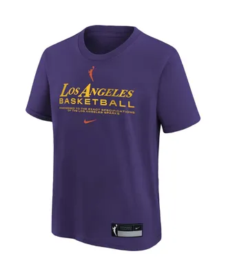 Big Boys and Girls Nike Purple Los Angeles Sparks On Court Legend Essential Practice T-shirt
