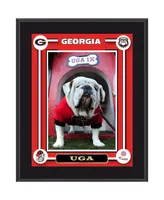 Georgia Bulldogs Uga 10.5'' x 13'' Sublimated Mascot Plaque