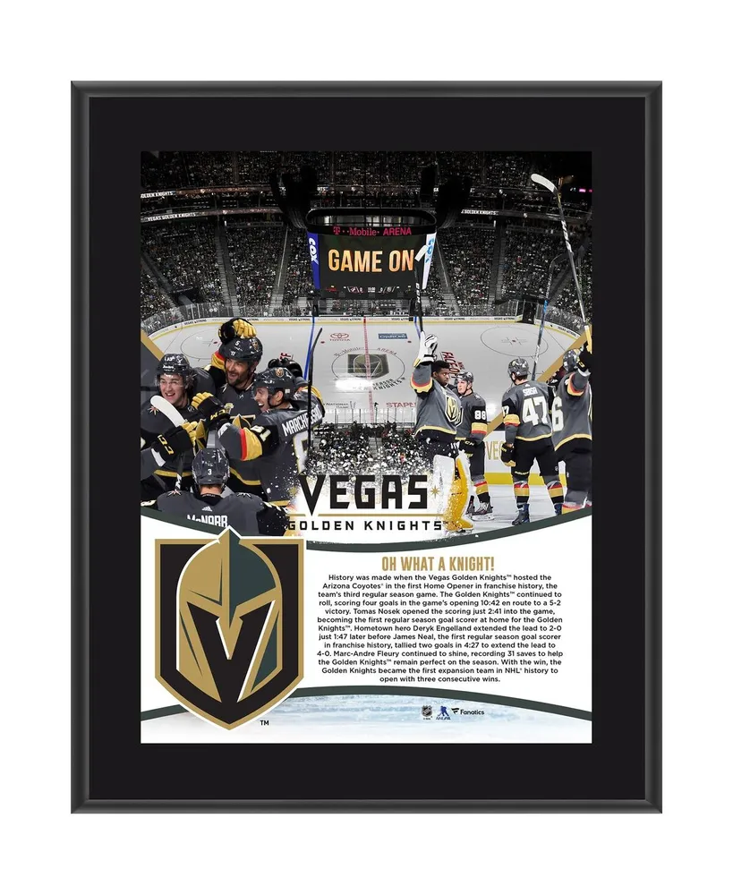 Phil Kessel Vegas Golden Knights Fanatics Authentic Framed 15 x 17  Ironman Record Collage
