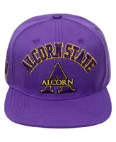 Men's Pro Standard Purple Alcorn State Braves Evergreen Arch Over Logo Snapback Hat