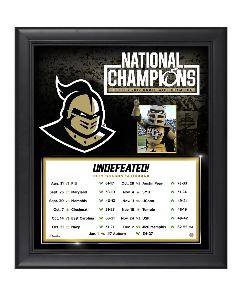 Pittsburgh Steelers Framed 15 x 17 Team Impact Collage with a