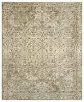 Karastan Divina Sanctum Area Rug