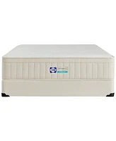 Sealy Naturals Hybrid Medium Tight Top 13" Mattress