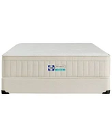 Sealy Naturals Hybrid Medium Tight Top 13 Mattress Collection