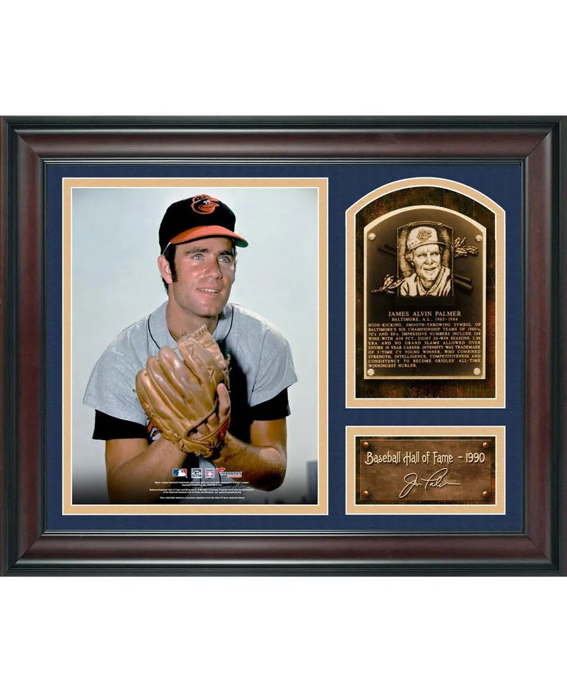 Nolan Ryan Texas Rangers Fanatics Authentic Framed 15 x 17 Hall of Fame  Career Profile