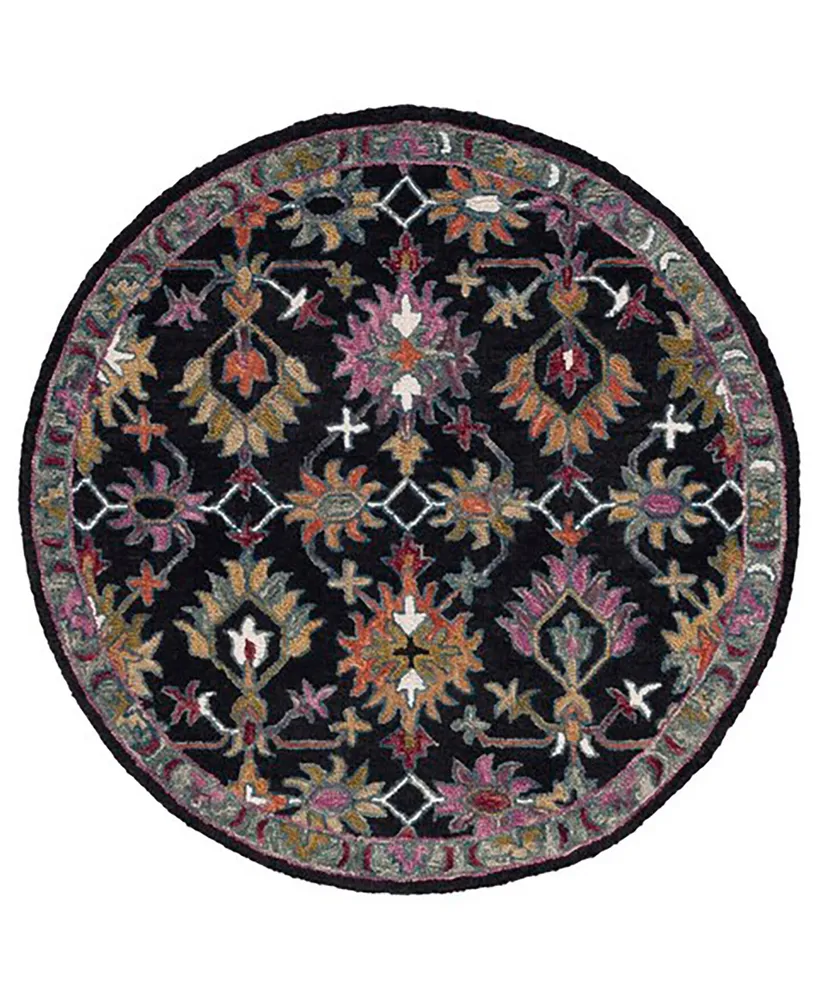 Safavieh Aurora APN135 5' x 5' Round Area Rug