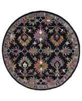 Safavieh Aurora Apn135 Area Rug