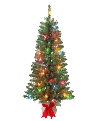 Puleo 3' Pre-Lit Artificial Fraser Fir Tree Multi Lights