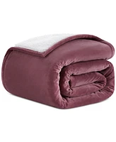 Ugg Closeout! Dasha Throw, 50" x 70" (A $67.99 Value)