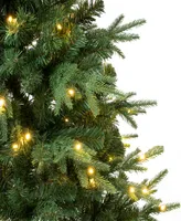 National Tree Company 6 ft. Feel-Real Duxbury Light Green Mixed Hinged Tree with 200 Warm White Led Lights