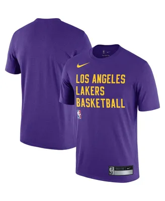 Men's Nike Purple Los Angeles Lakers 2023/24 Sideline Legend Performance Practice T-shirt