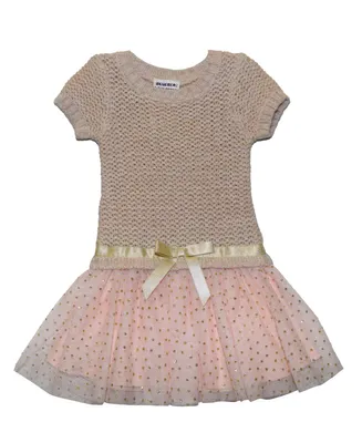 Blueberi Boulevard Baby Girls Iridescent Sweater and Tulle Skirt Dress