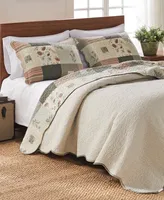 Greenland Home Fashions Sedona Desert Wildflowers 5 Piece Quilt Set