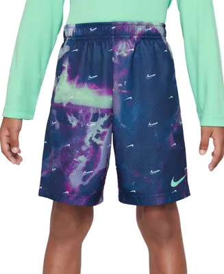 Nike Little Boys Dri-fit All Day Play Graphic Shorts