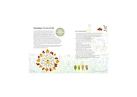 Your Magical Garden- Harness the power of the elements to create an enchanted outdoor space by Clare Gogerty