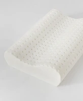 ProSleep Classic Support Contour Memory Foam Pillow, Standard/Queen